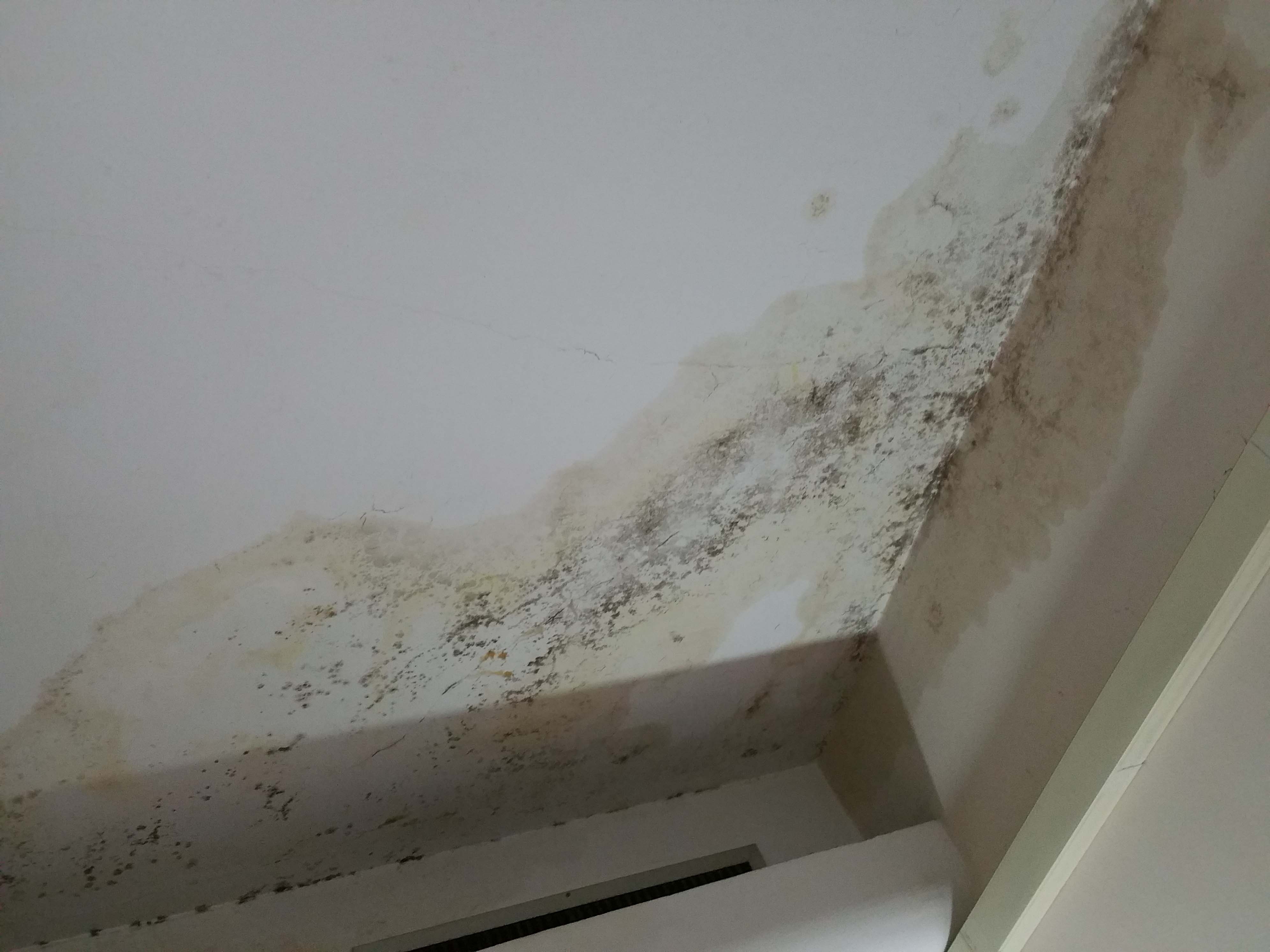 3. inter-floor leak. menbrane failure and ceiling damaged..jpg